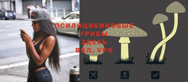 дурь Богородицк