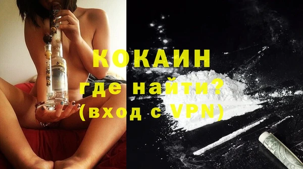 дурь Богородицк