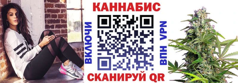 Каннабис планчик Дмитровск